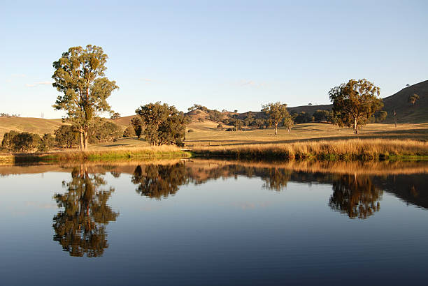 Landscape of the Yarra Valley with fields and green trees stock photo