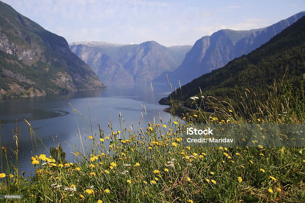 Fjord - Zbiór zdjęć royalty-free (Bez ludzi)