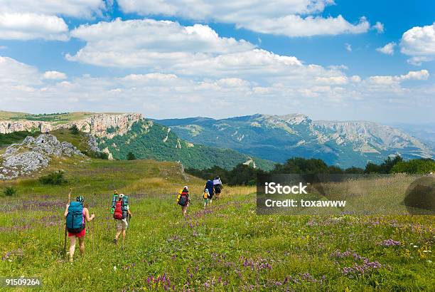 Wanderer Stockfoto und mehr Bilder von Alm - Alm, Blume, Wandern