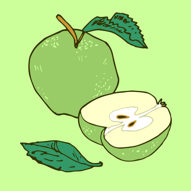 Green Apples vector art illustration