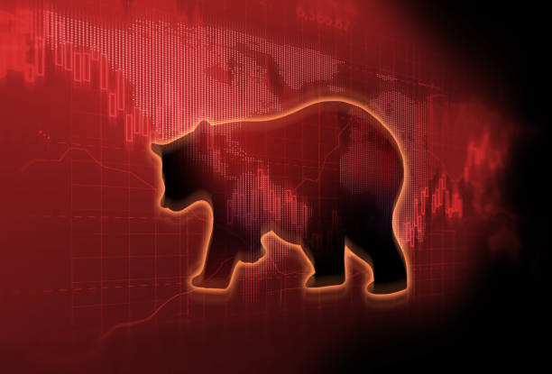 istock silhouette form of bear on technical financial graph 915093638