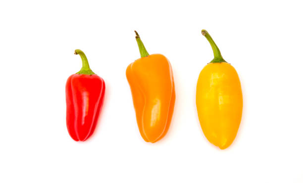 istock Small Sweet Peppers Isolated on a White Background 915095232