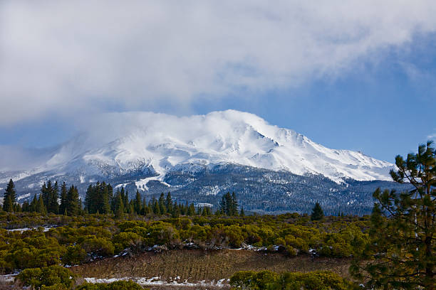 istock Mt. Shasta - California 91509574