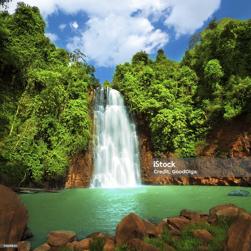 A cascading waterfall in the tropics Waterfall  in deep forest Waterfall Stock Photo