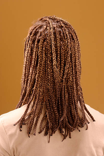 афро растаман причёска - back of head стоковые фото и изображения