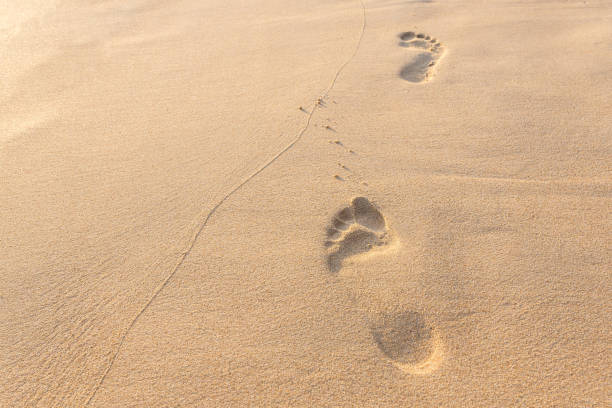 istock Footprints on sand at the beach in the afternoon 915100948