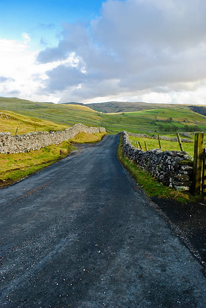 istock Country Road 91510260