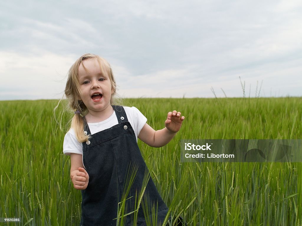 Rapariga do campo verde - Royalty-free Agricultura Foto de stock