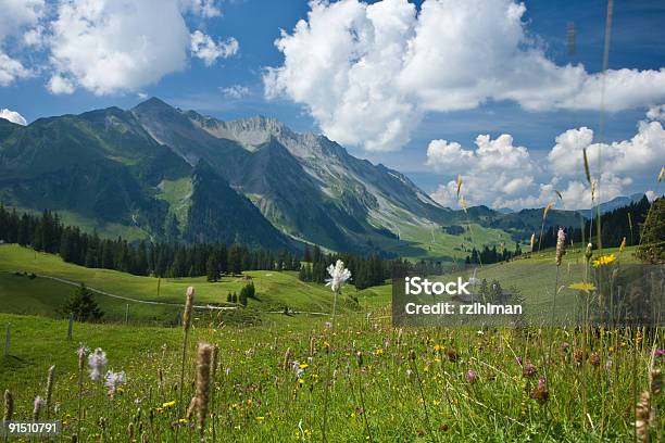 Brienzer Rothorn - Fotografie stock e altre immagini di Svizzera - Svizzera, Ambientazione esterna, Brienz