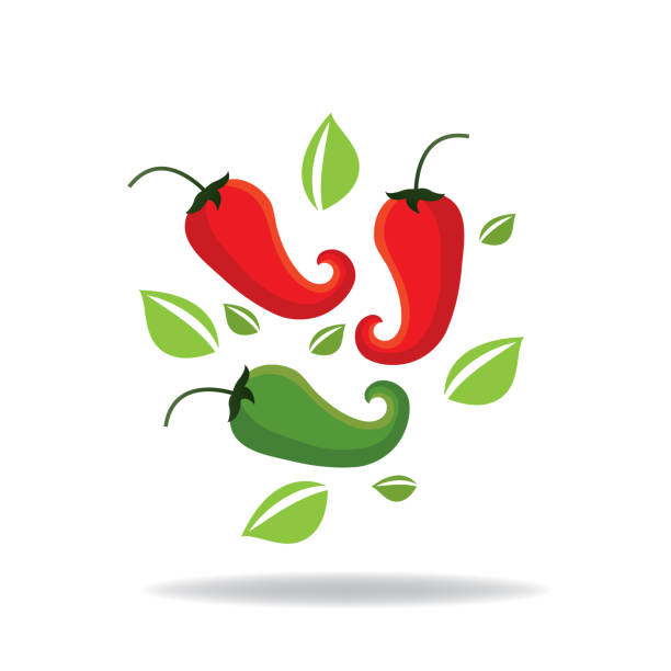 papryka chili - chili pepper spice thailand food stock illustrations