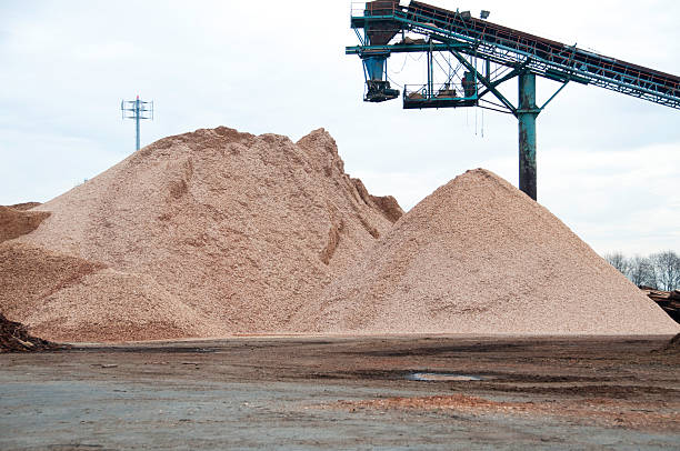 istock Yard of Wood Chips 91511371