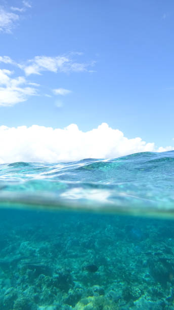 istock Great Barrier Reef, Australia 915113862