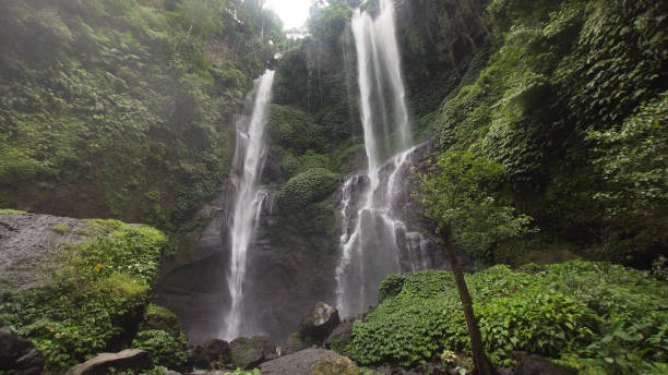 istock Beautiful tropical waterfall. Bali,Indonesia 915116694