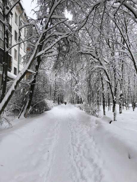 istock Street in winter 915123942