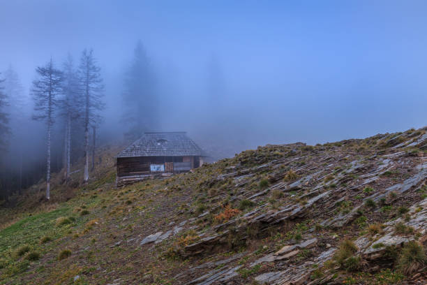 istock Cozia Mountains, Romania 915124176