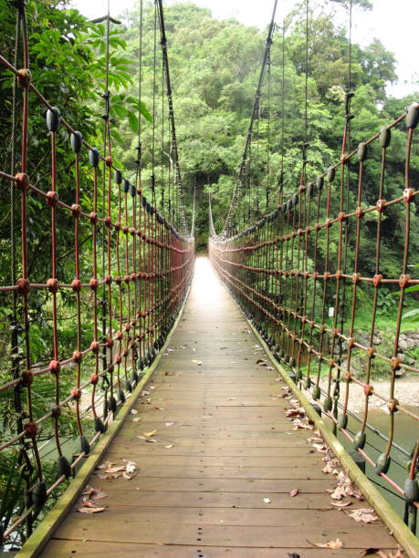 istock Kuolai suspension bridge 915127790