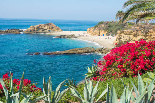 istock Beautiful Laguna Beach, Southern California 915128070