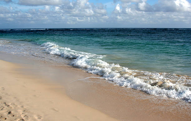 istock Waves Crashing on the Punta Cana Beach 91512883