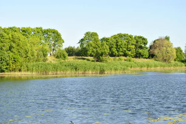 istock Green Coast by the river 915129276