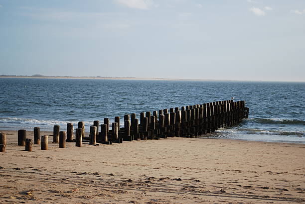 Two rows of wooden groynes are emerging from the sea on a sandy beach, preventing coastal erosion on a calm, sunny day