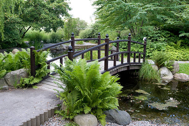 정원 구름다리 - bridge wood japanese garden footbridge 뉴스 사진 이미지