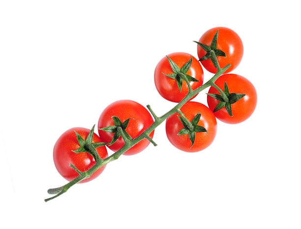 Tomatoes on white with clipping path stock photo