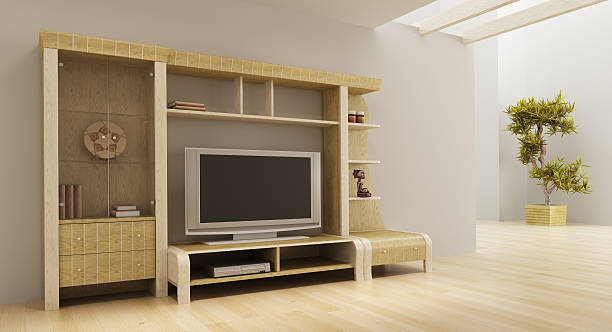 istock lounge room interior with bookshelf and TV 91513408