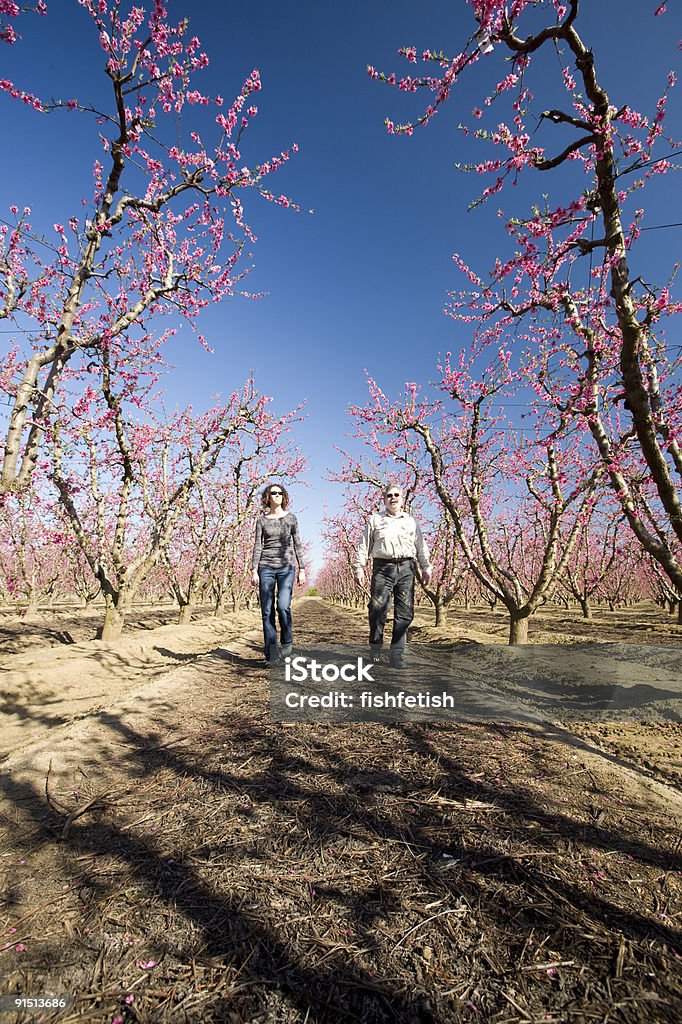 Desfrutando o Orchard em Bloom - Foto de stock de Agricultura royalty-free