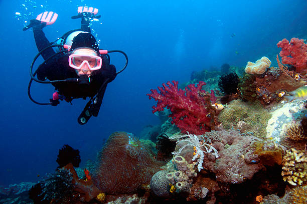 istock Female diver next to coral reef 91513856