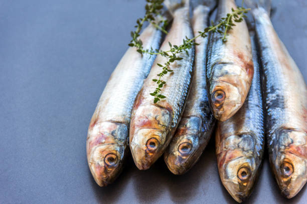 新鮮なイワシのクローズ アップ - prepared fish fish grilled close up ストックフォトと画像