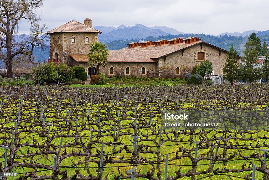 Napa Valley Weingut - Lizenzfrei Napa Valley Stock-Foto