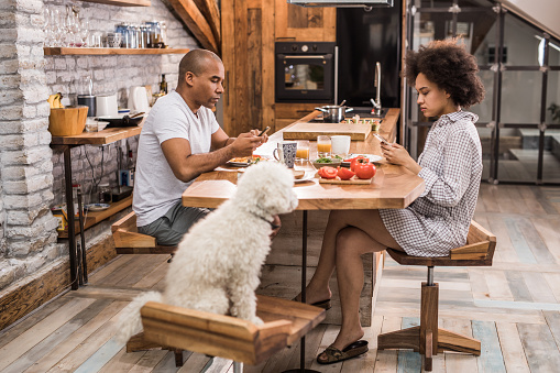 Young black couple having breakfast in the kitchen while ignoring each other and using mobile phones. Their dog is with them.