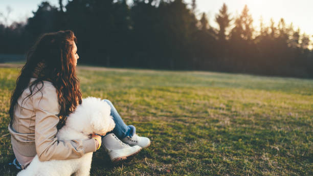 istock Enjoying sunset with my dog 915147474