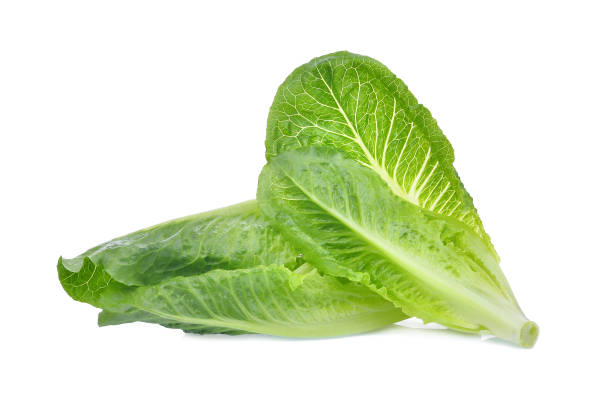istock fresh baby cos, green lettuce isolated on white background 915147582