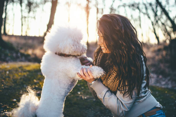 istock My best friend 915148084