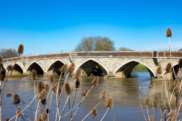 istock Wimborne Minster, Dorset, England 915151376