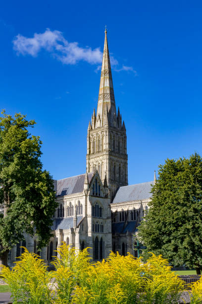 istock Salisbury, Wiltshire, England 915151724