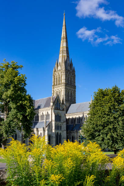 istock Salisbury, Wiltshire, England 915151738