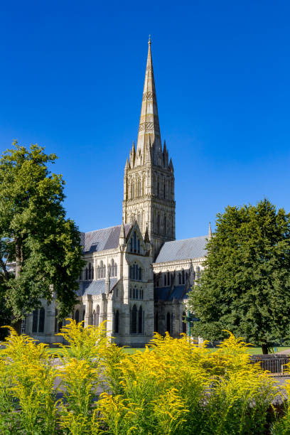 istock Salisbury, Wiltshire, England 915151752