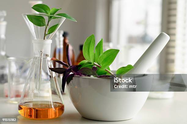 Pilão E Almofariz Com Plantas Aromáticas - Fotografias de stock e mais imagens de Agricultura - Agricultura, Biologia, Biotecnologia