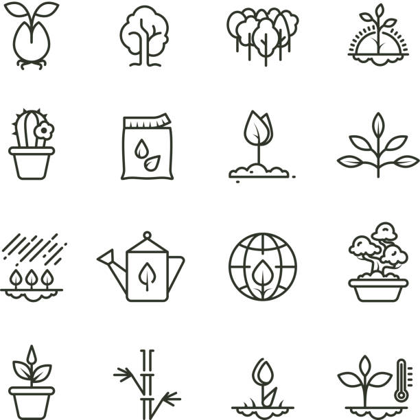 Plant, planting and seed line vector icons. Sprout growing symbols Plant, planting and seed line vector icons. Sprout growing symbols. Illustration of plant and sprout, growth tree sow stock illustrations