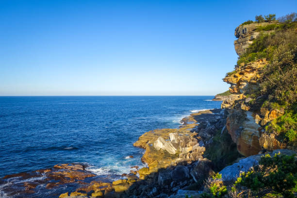 男らしいビーチの海岸の崖、シドニー、オーストラリア - manly beach summer beach pacific ocean ストックフォトと画像