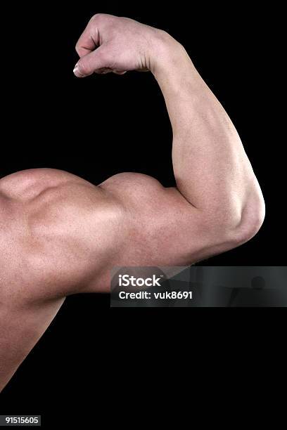 Muscular Biceps Stock Photo - Download Image Now - Adult, Adults Only, Beautiful People