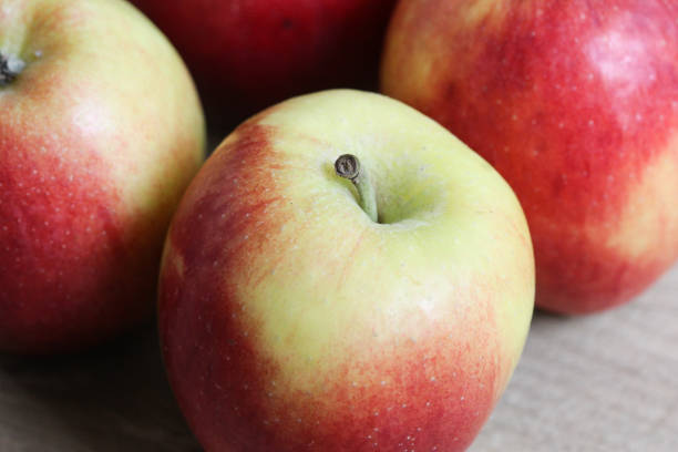 istock Green and yellow Jazz apples 915157462