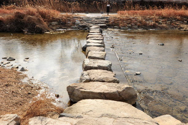 de gué stones - stepping stone stone stepping footpath photos et images de collection