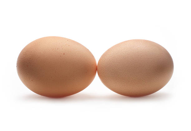 Dos contactos de huevos - foto de stock