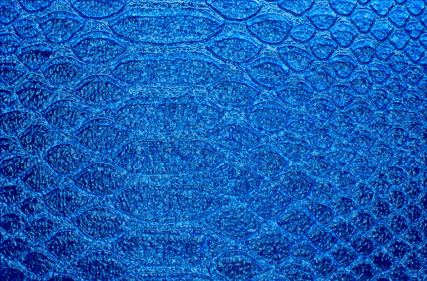 istock Snake skin, can use as background 915165354