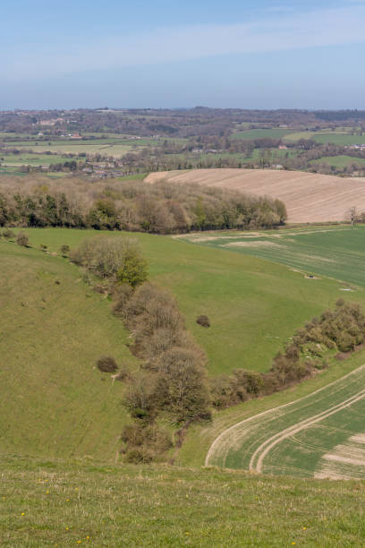 istock Cranborne Chase, Dorset, England 915166614