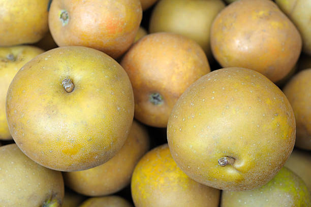 istock Egremont Russet dessert apples 91517220
