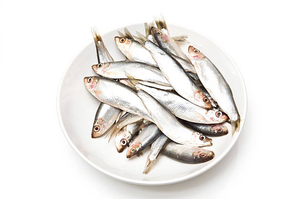 istock Plate of sprats fish on a white background. 91517316